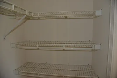 DSC_7351 (Large).JPG